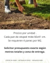 Césped Grama Bahiana En Panes